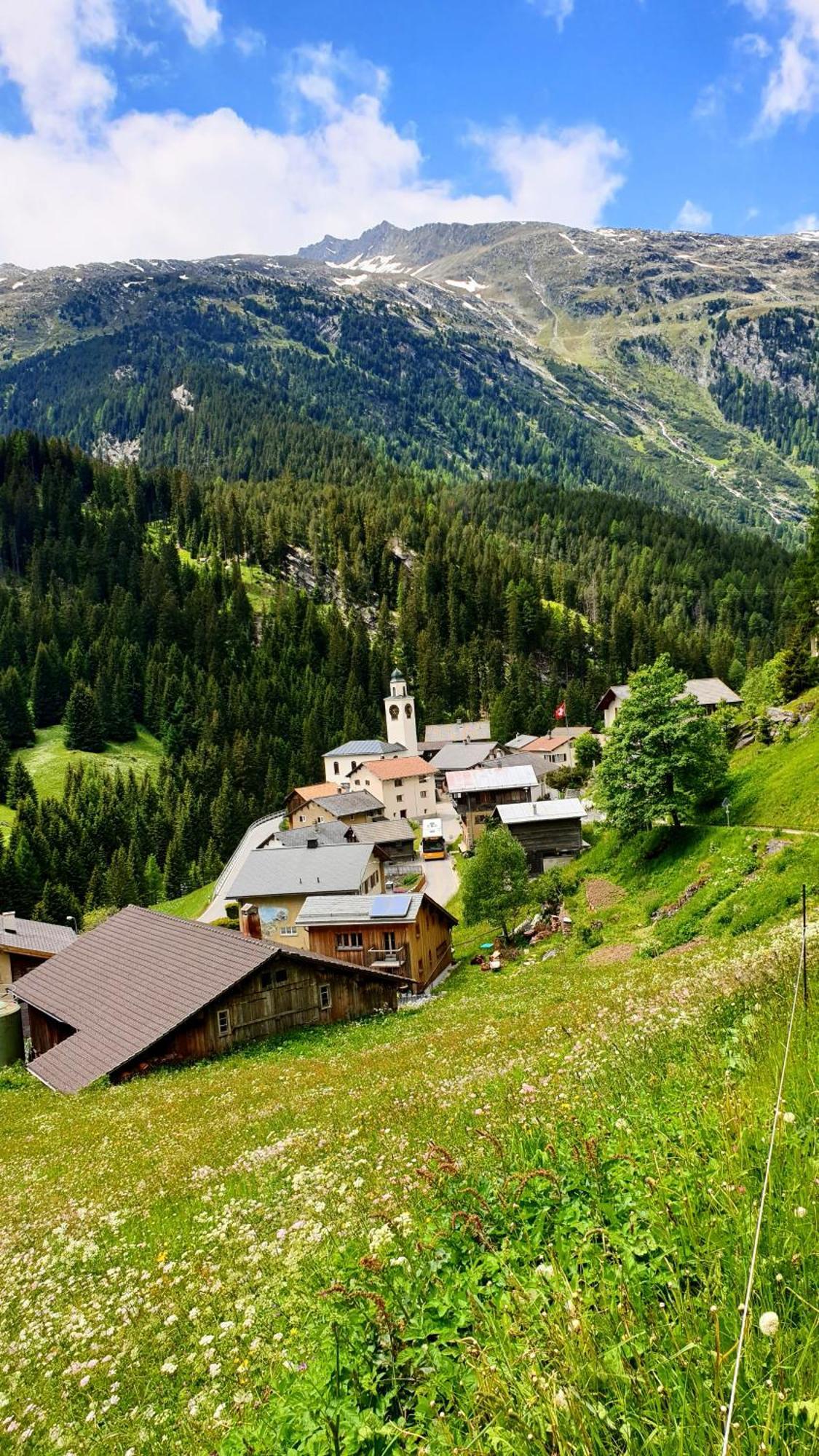 Gasthaus Alpenrose Innerferrera Esterno foto