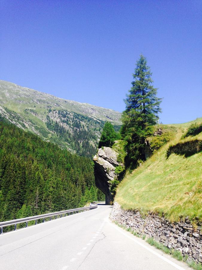 Hotel Gasthaus Alpenrose Innerferrera Esterno foto