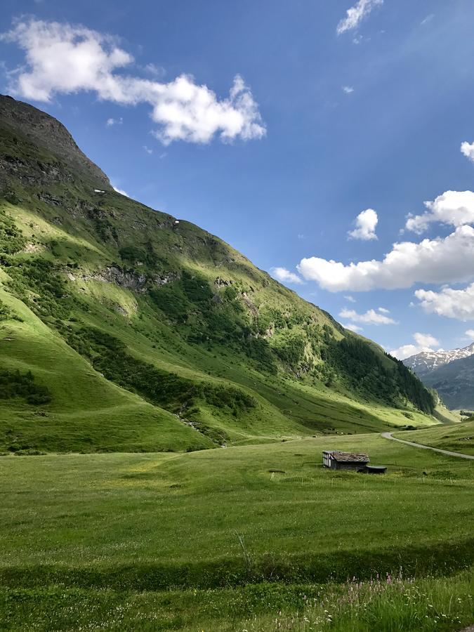 Hotel Gasthaus Alpenrose Innerferrera Esterno foto