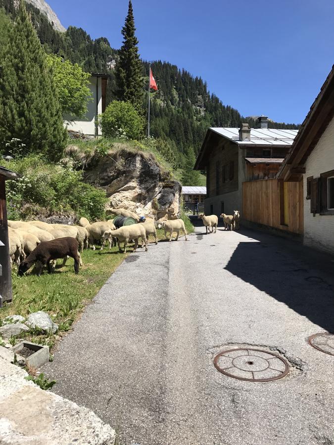 Hotel Gasthaus Alpenrose Innerferrera Esterno foto