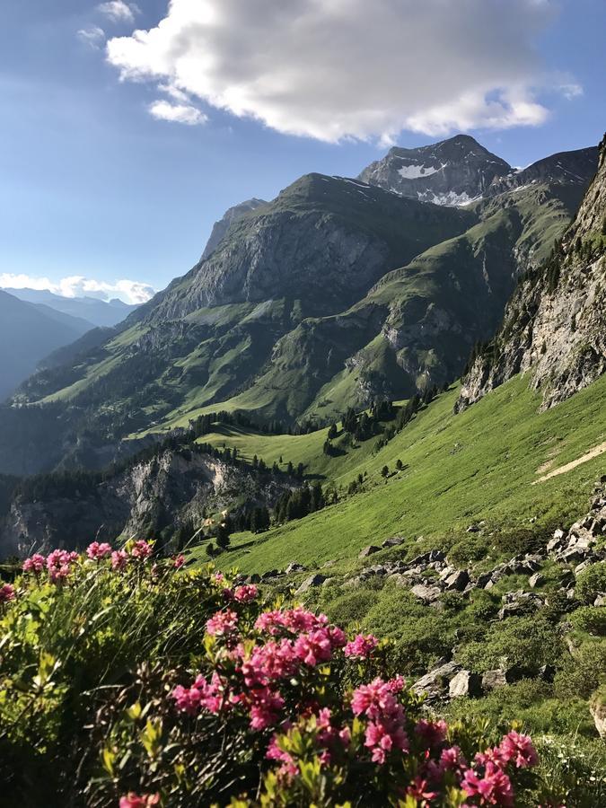 Hotel Gasthaus Alpenrose Innerferrera Esterno foto